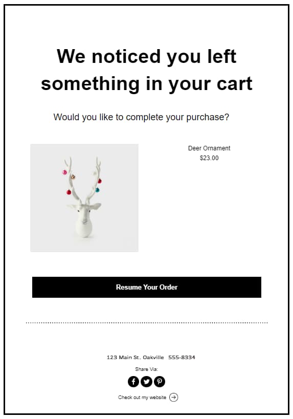 The 15 Best Abandoned Cart Emails To Win Back Customers-4